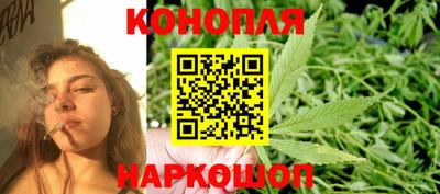 сатива Кунгур