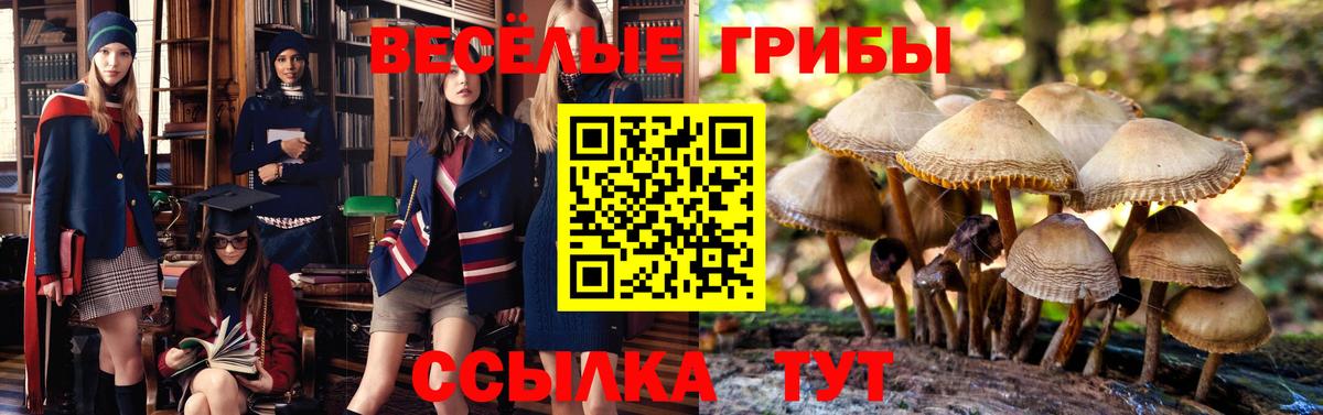 Галлюциногенные грибы Magic Shrooms  Галлюциногенные грибы мухоморы  Вход с VPN  Клинцы 