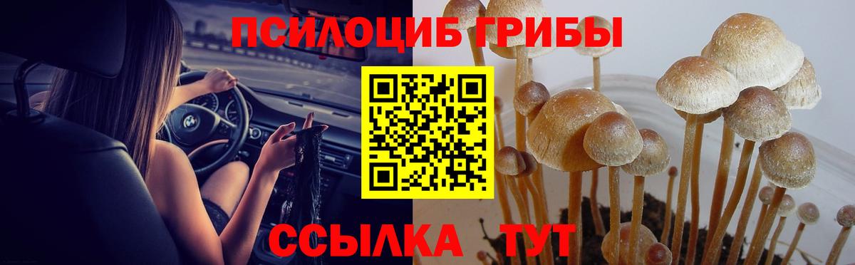 Псилоцибиновые грибы MAGIC MUSHROOMS Клинцы